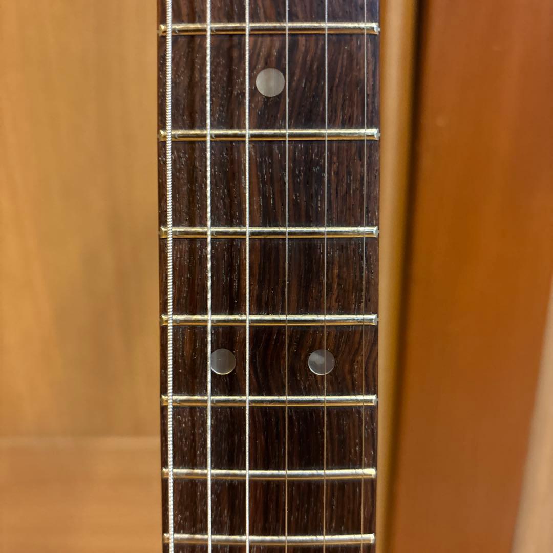 【たっちです】FERNANDES ゴールドパーツ仕様 トレモロアーム付