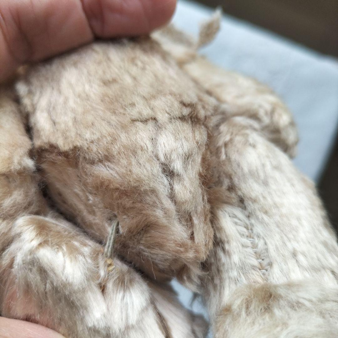 ビンテージ　テディベア　Dakin ポーリッシュベア　ベージュ