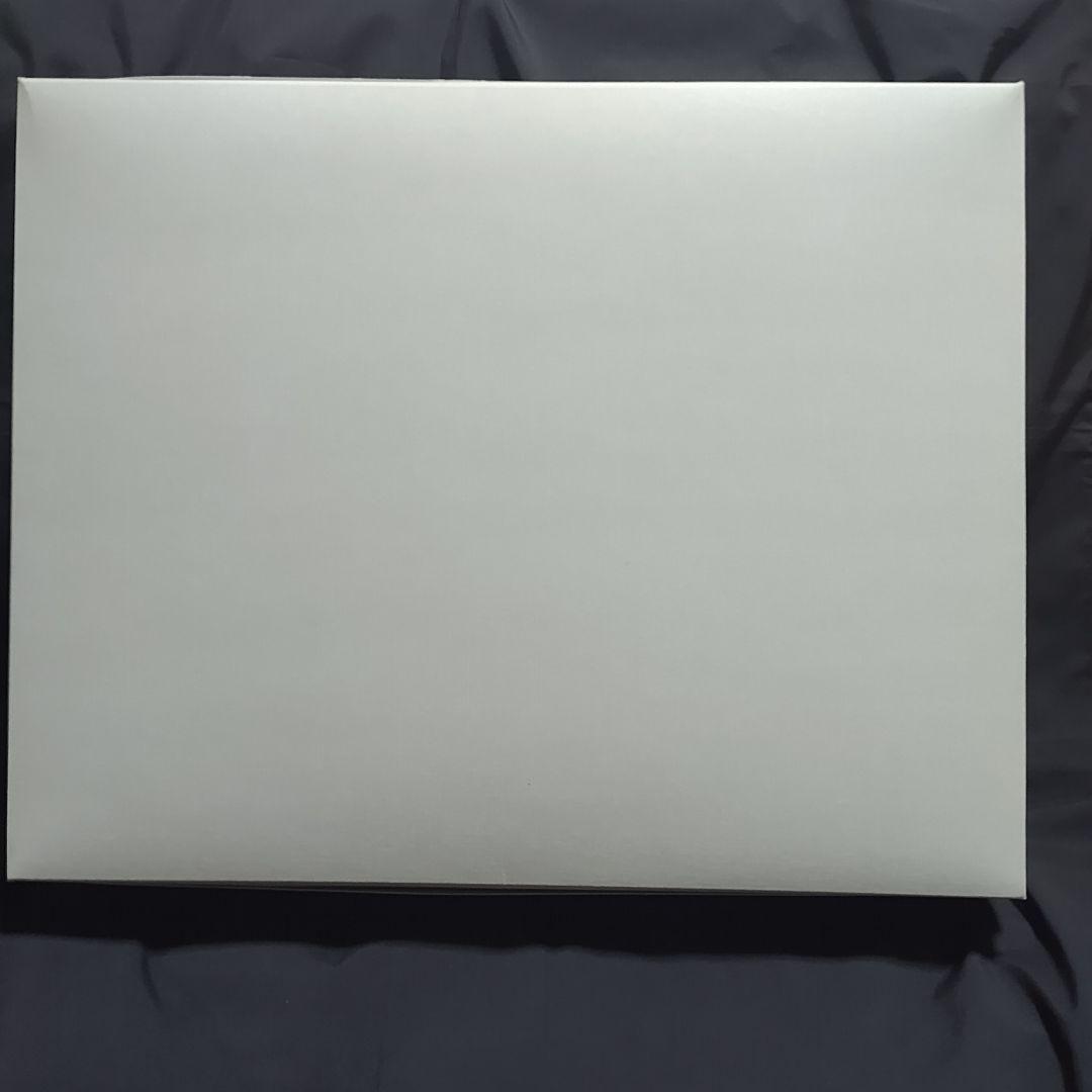 MGエクリプスガンダム&WEB限定マニューバストライカーパックセット