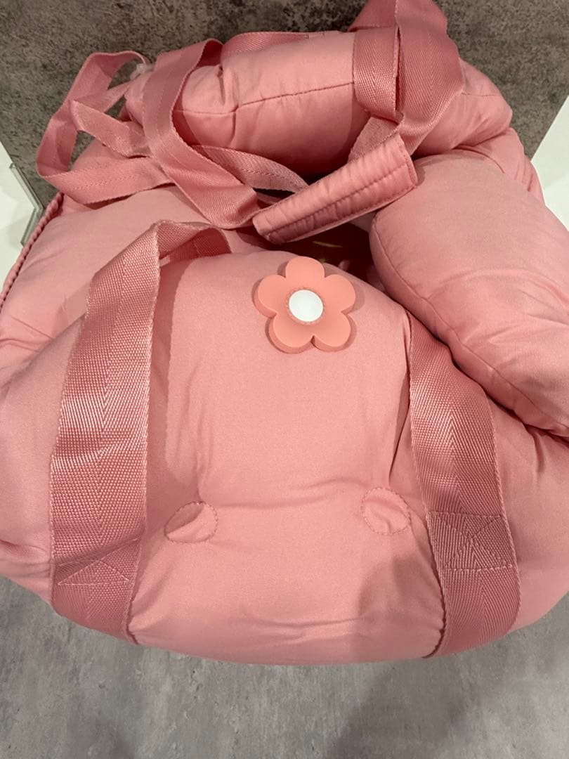 【新品】犬服　ペット　ドライブボックス　キャリーバッグ