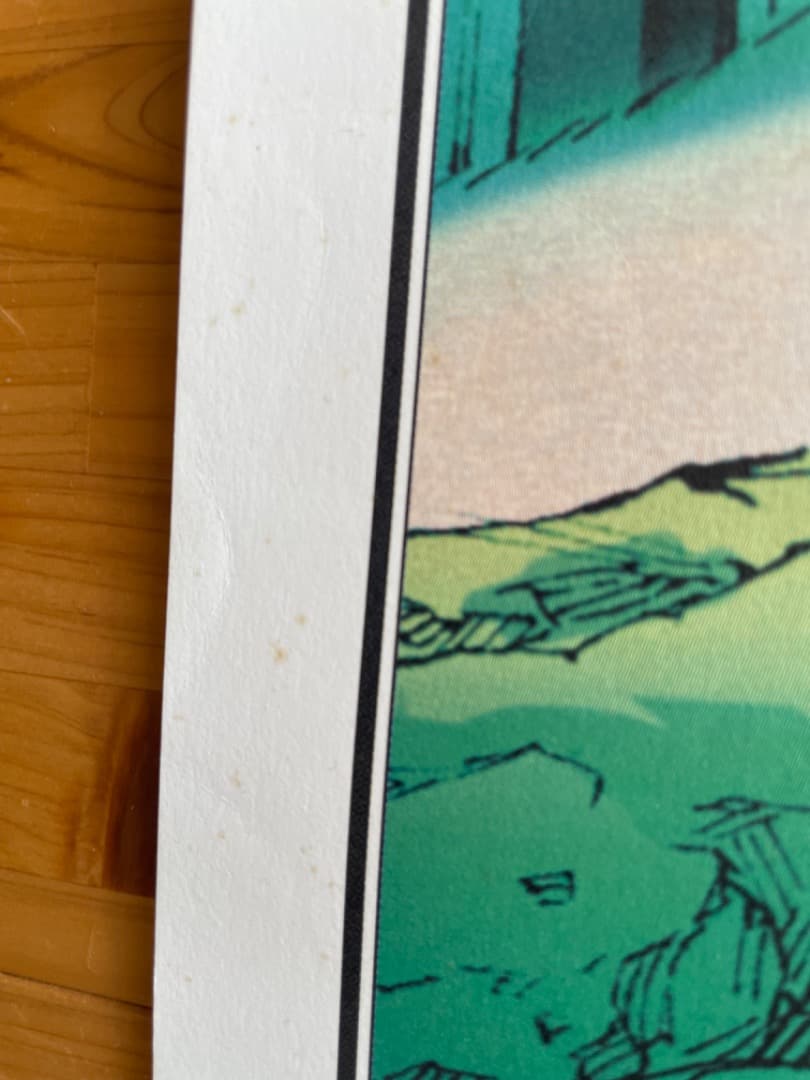 FREEDOM-フリーダム- B2サイズポスター2枚セット　大友克洋　AKIRA