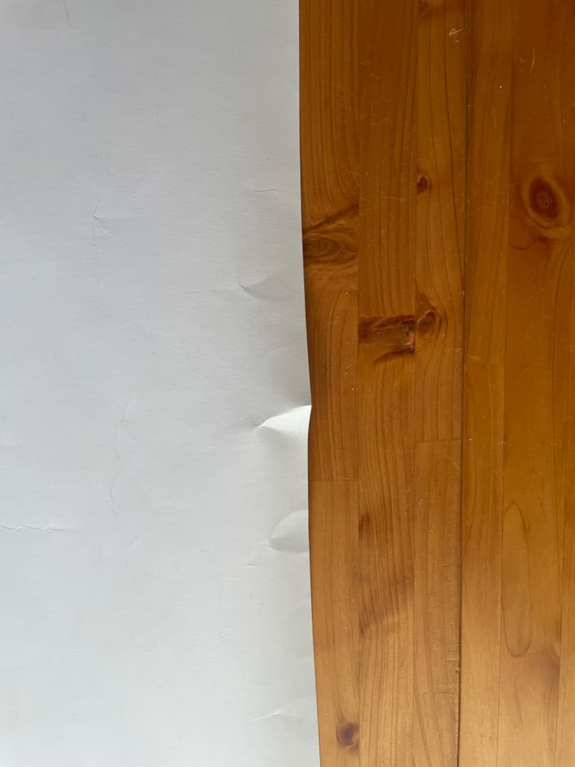 FREEDOM-フリーダム- B2サイズポスター2枚セット　大友克洋　AKIRA