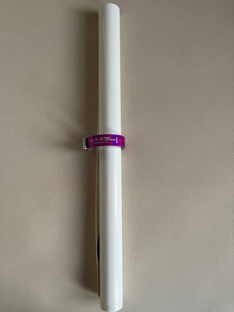 ポスター sizebook 乃木坂46 サイン 白石麻衣,西野七瀬,橋本奈々未