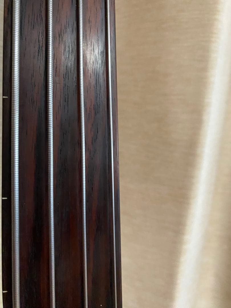 Ibanez アコースティックベース フレットレス　ケース付き