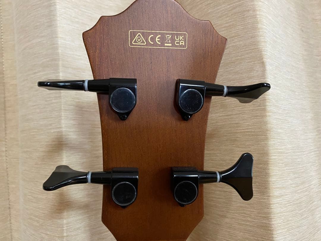 Ibanez アコースティックベース フレットレス　ケース付き
