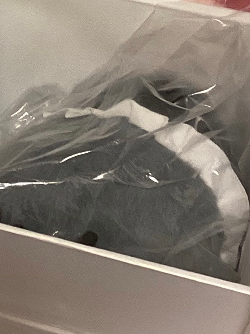 恋と深空 vip 特典 日本語 シンセット　缶バッジ　箱