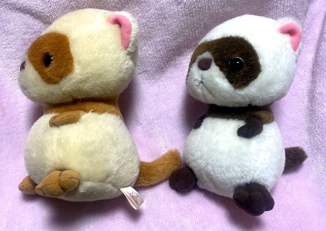 ぬいぐるみの三英　希少　たぬき　ペア　ぬいぐるみ　レトロ