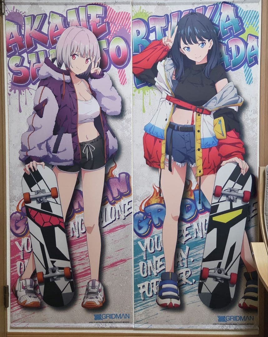 SSSS.GRIDMAN 等身大タペストリー ヴィレヴァン限定 スケボーver.