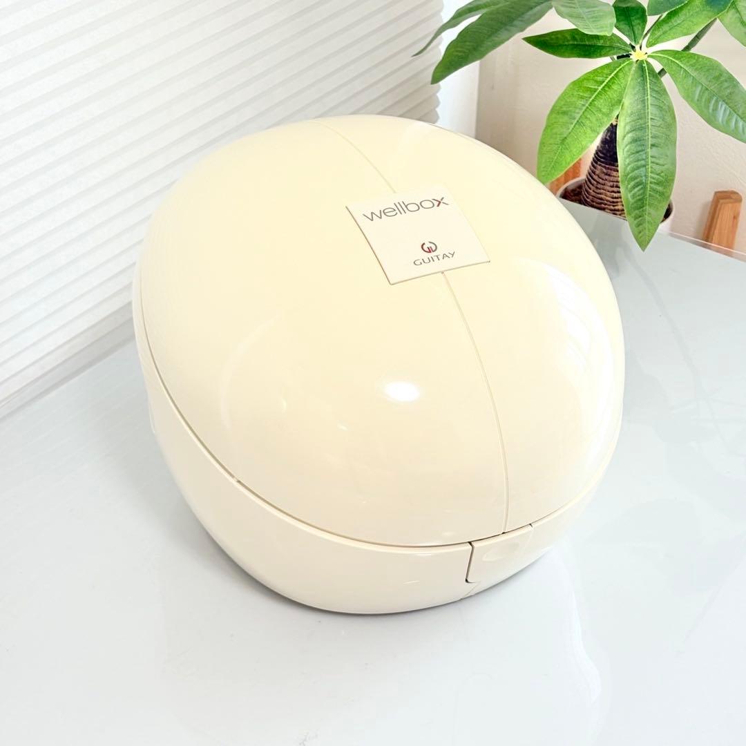 ウェルボックス エンダモロジー 痩身エステ 動作良好 予備フィルター付き