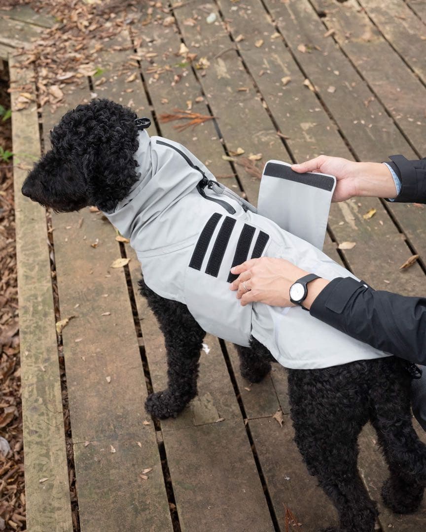 Gris 犬用レインコート Sグレー