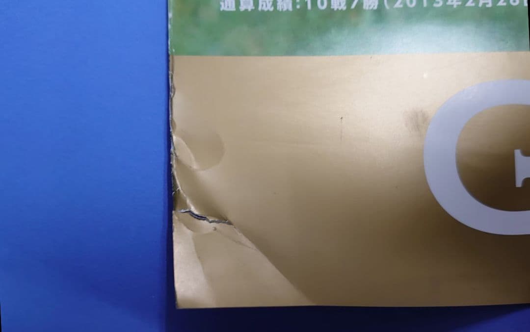 【非売品】ゴールドシップ ヒーロー列伝 ポスターウマ娘B1サイズ 競馬有馬記念