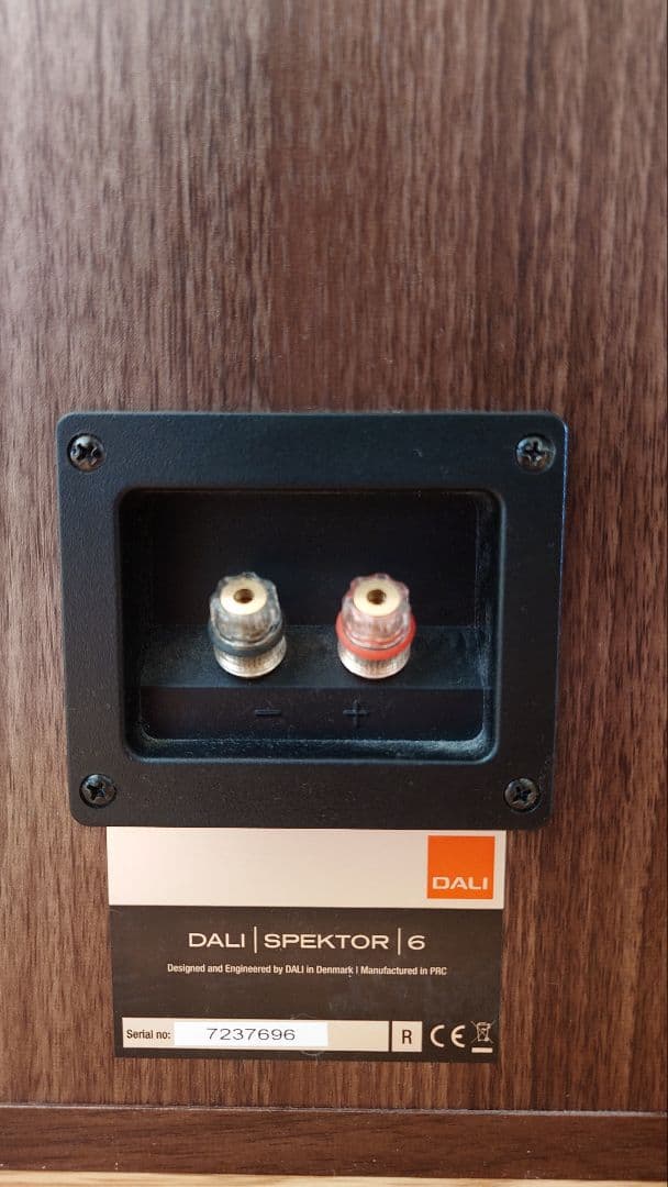 DALI SPEKTOR 6 ダリ スペクター