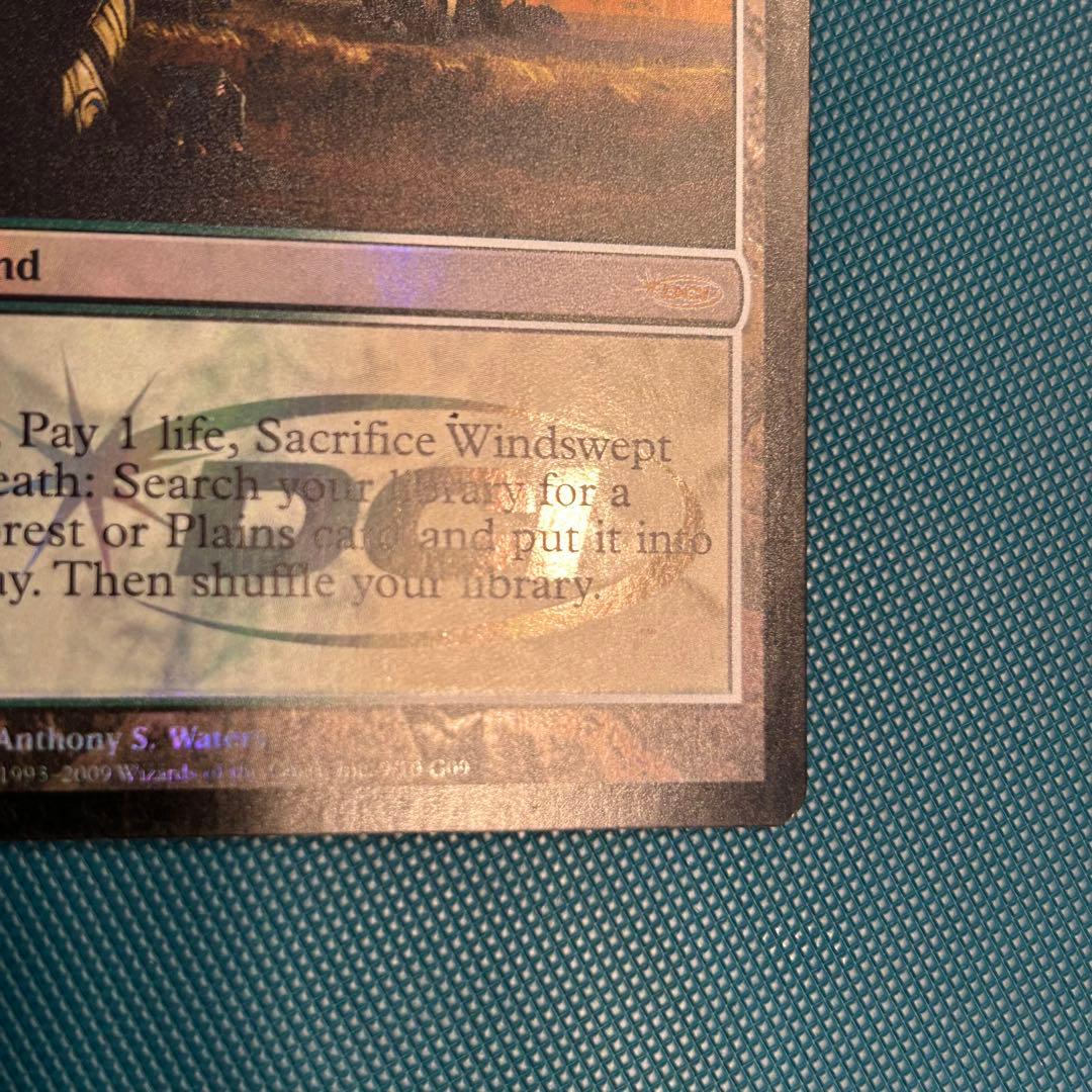 【ジャッジFoil】《吹きさらしの荒野/Windswept Heath》英語