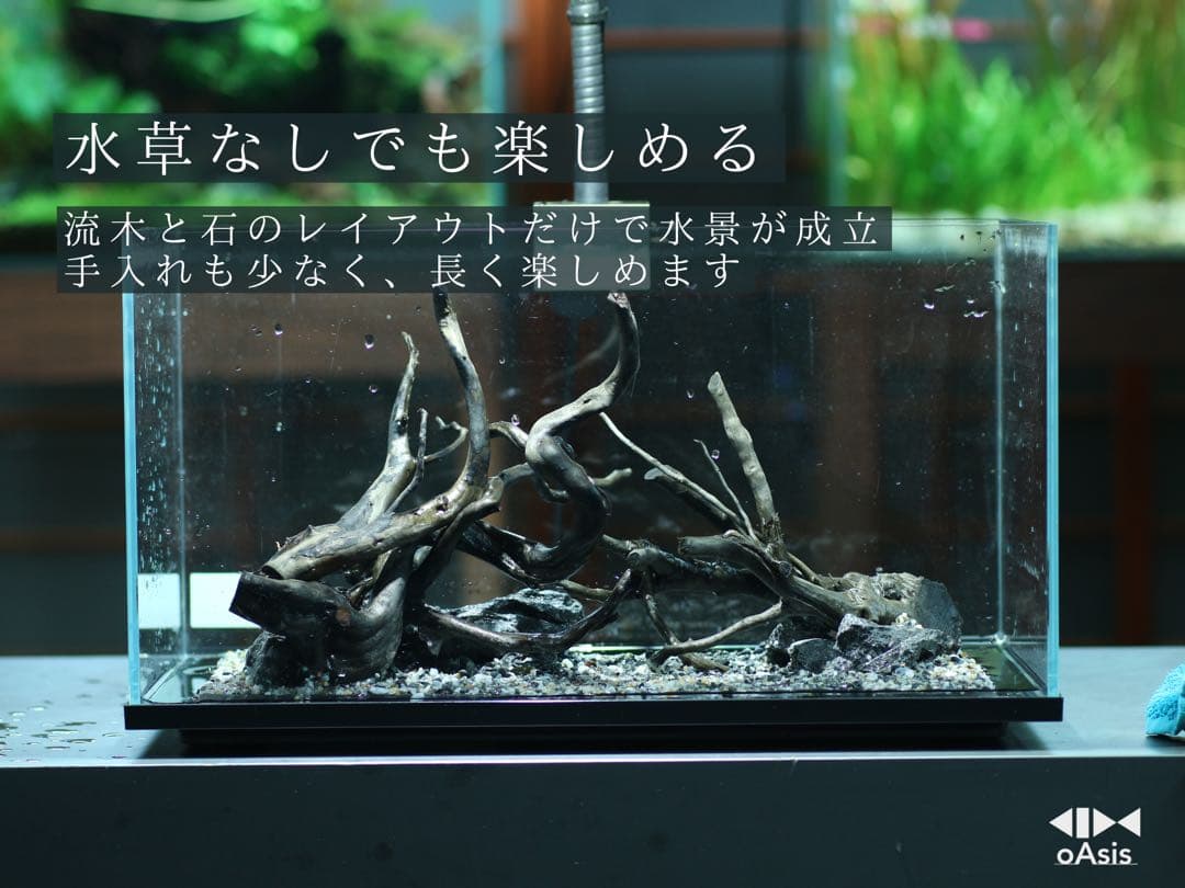 アクアリウム 流木 レイアウトセット 45cmスリム　熱帯魚・水草水槽用