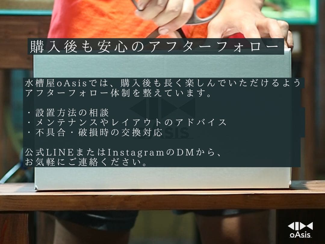 アクアリウム 流木 レイアウトセット 45cmスリム　熱帯魚・水草水槽用