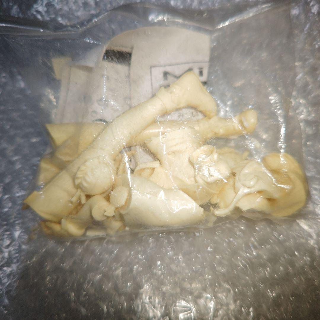 ぽぽたん　みい　ガレージキット　未組立