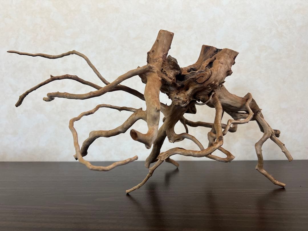 63001 ブランチウッド　流木　アクアリウム　沈水確認済