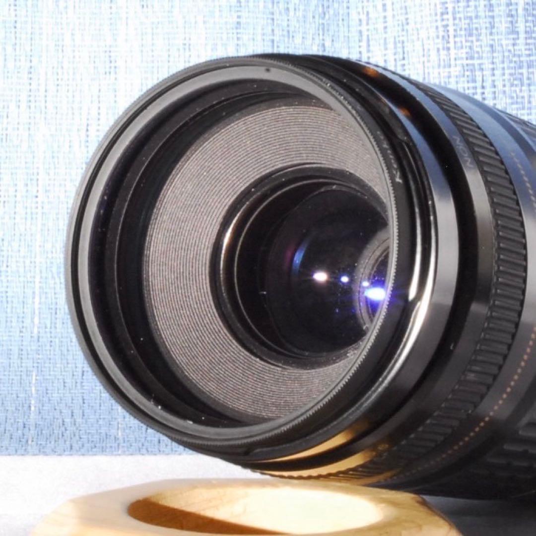 ✨大人気！超望遠✨Canon EF75-300mm USM✨フルサイズ✨