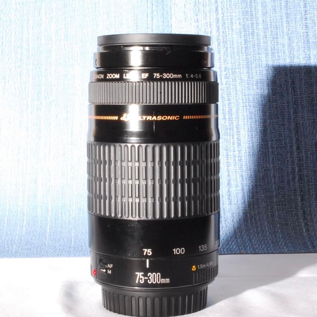 ✨大人気！超望遠✨Canon EF75-300mm USM✨フルサイズ✨