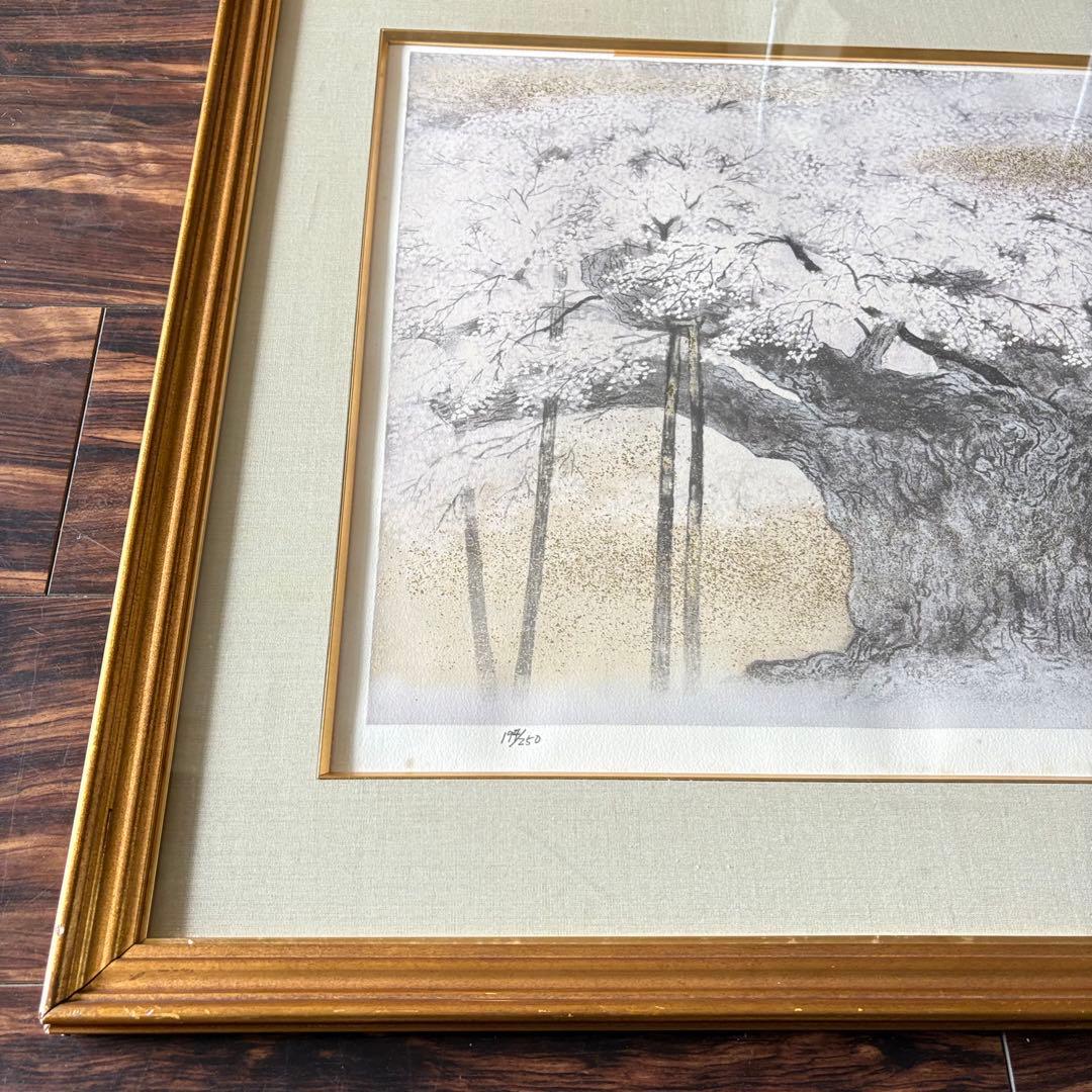 伊藤嘉晃 「淡墨桜」リトグラフ 194/250 共シール 額装 J