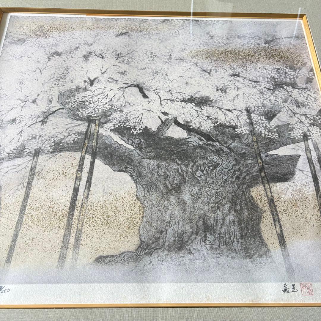 伊藤嘉晃 「淡墨桜」リトグラフ 194/250 共シール 額装 J