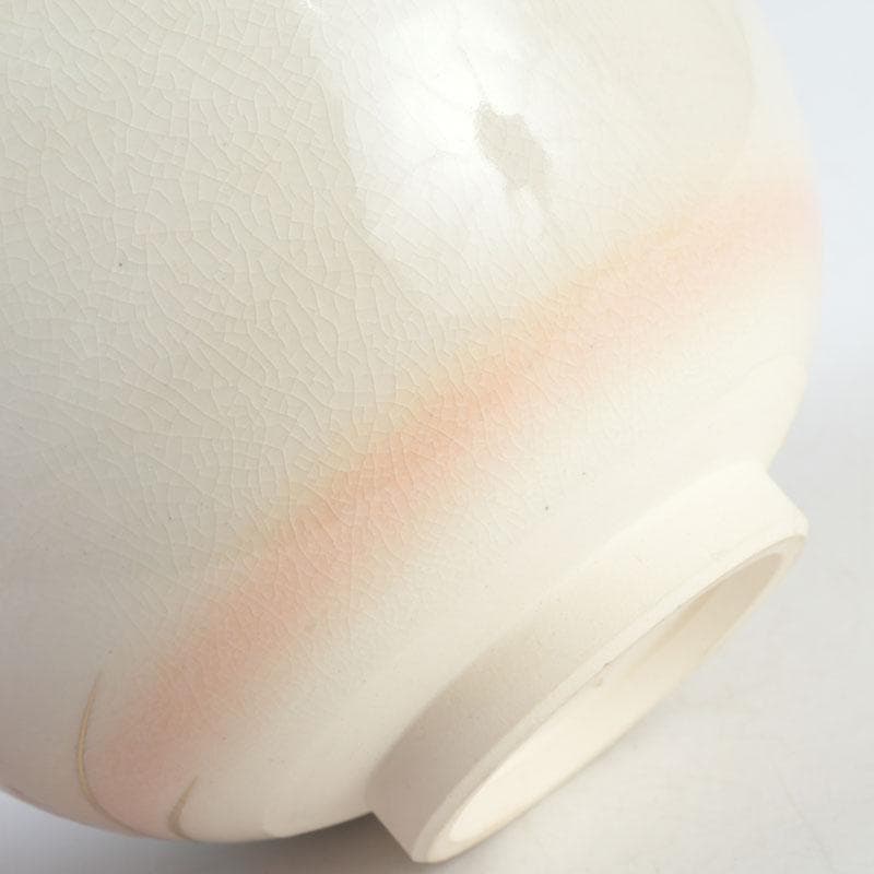 茶道具　白井半七造　色絵　秋草絵　茶碗　銘「涼風」　即中斎極め箱　M　9726