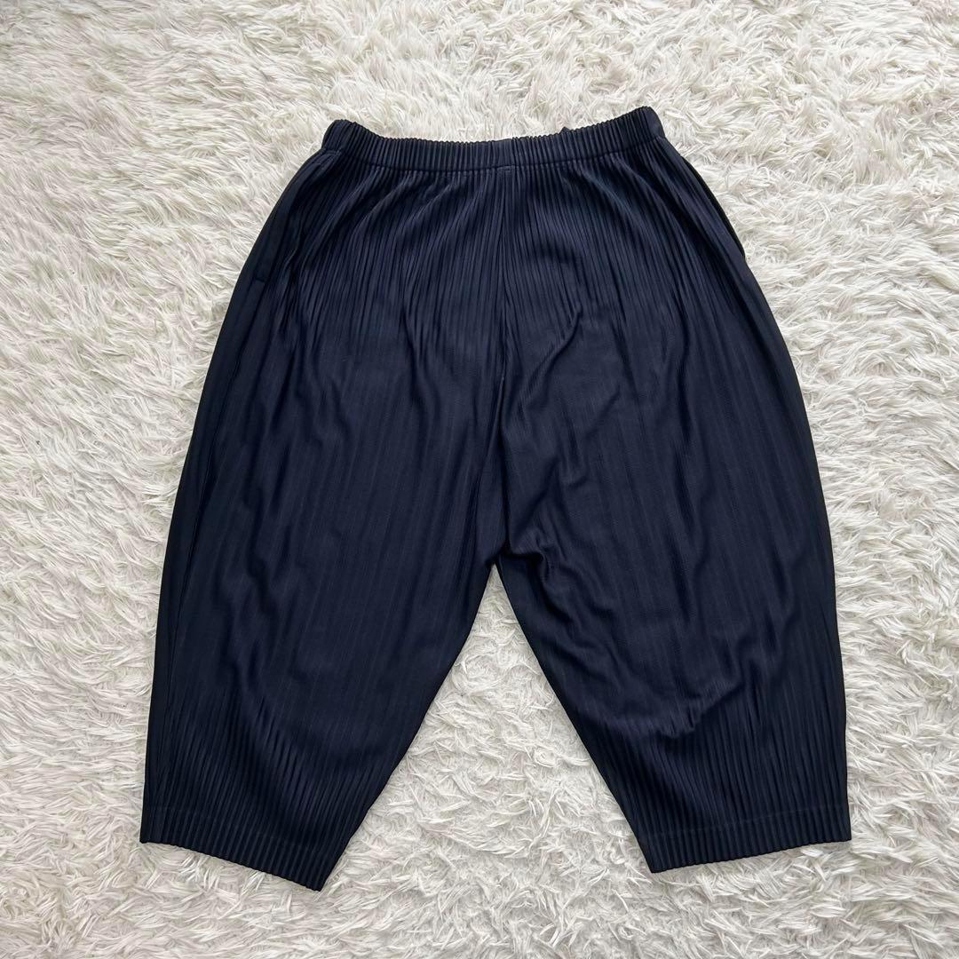 【極美品】オムプリッセ　消しプリーツパンツ　サイズ3