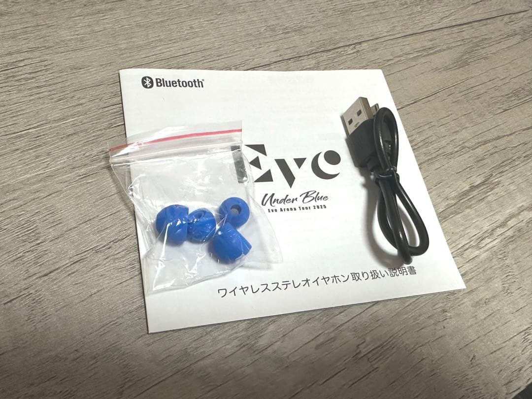 Eve Under Blue くじ イヤホン Eve賞 UB