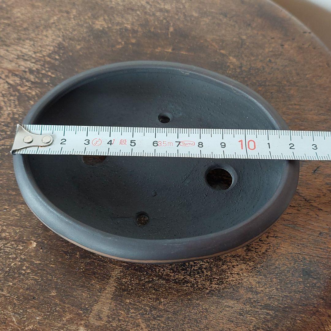 盆栽鉢　美芸　常滑焼