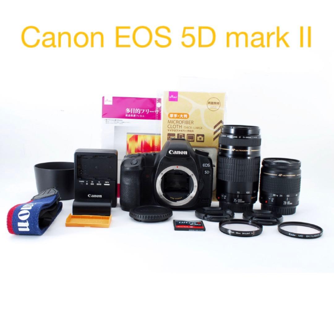 キャノン Canon EOS 5D mark II標準&望遠ダブルレンズセット
