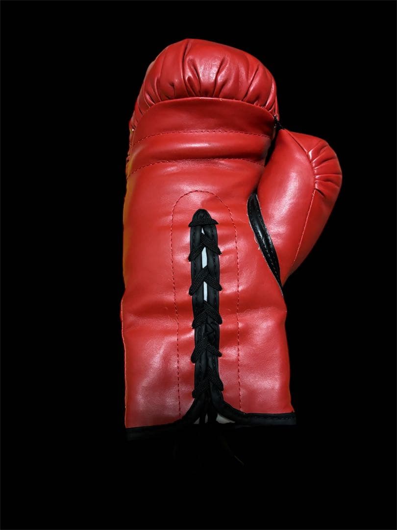 u*f様 山中慎介 直筆サイン入りグローブ WBC バンタム級 V11 赤