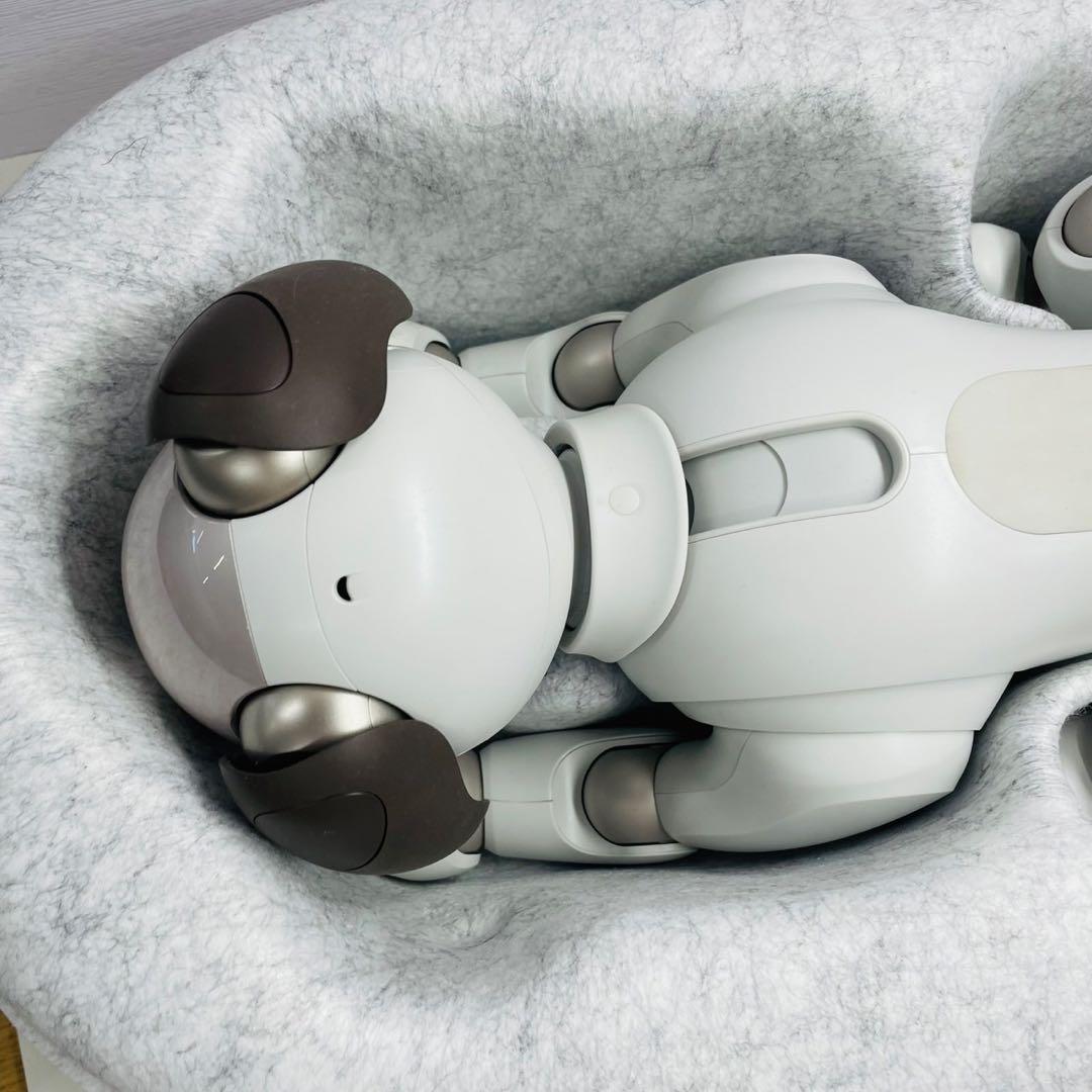 SONY aibo ERS-1000/M/S 箱付属品あり アイボーン・サイコロ