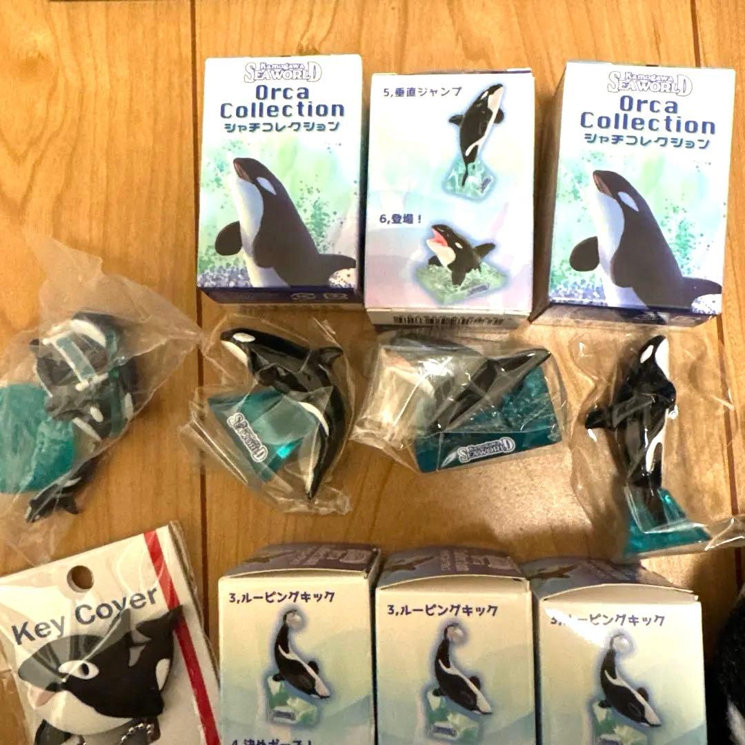 鴨川シーワールド　グッズセット