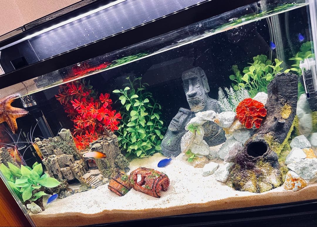 「初心者にぜひオススメ！」GEX デュアルクリーン600 60cm水槽セット