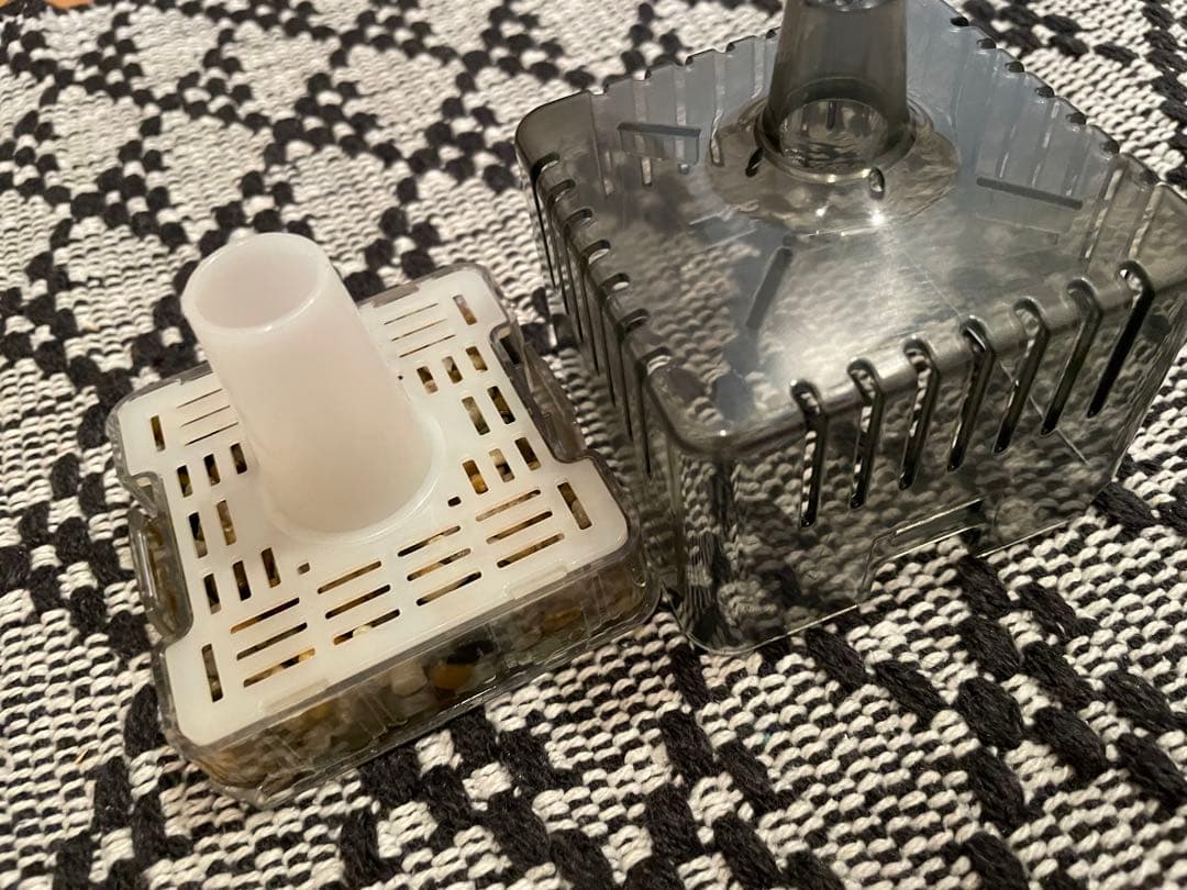 「初心者にぜひオススメ！」GEX デュアルクリーン600 60cm水槽セット