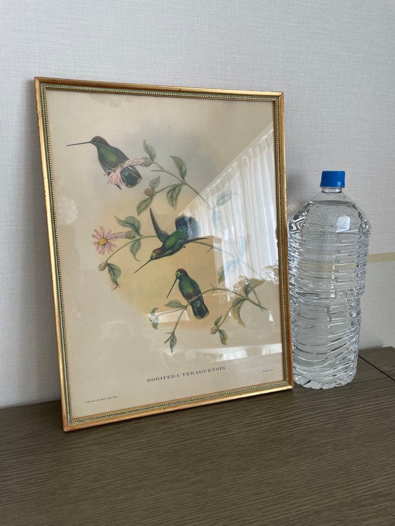 アンティーク　フレーム 鳥の絵画　リトグラフ