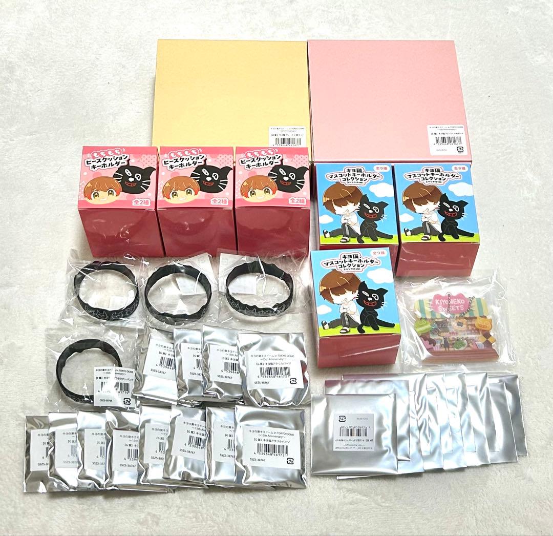 キヨ くじ 東キヨドーム in TOKYO DOME