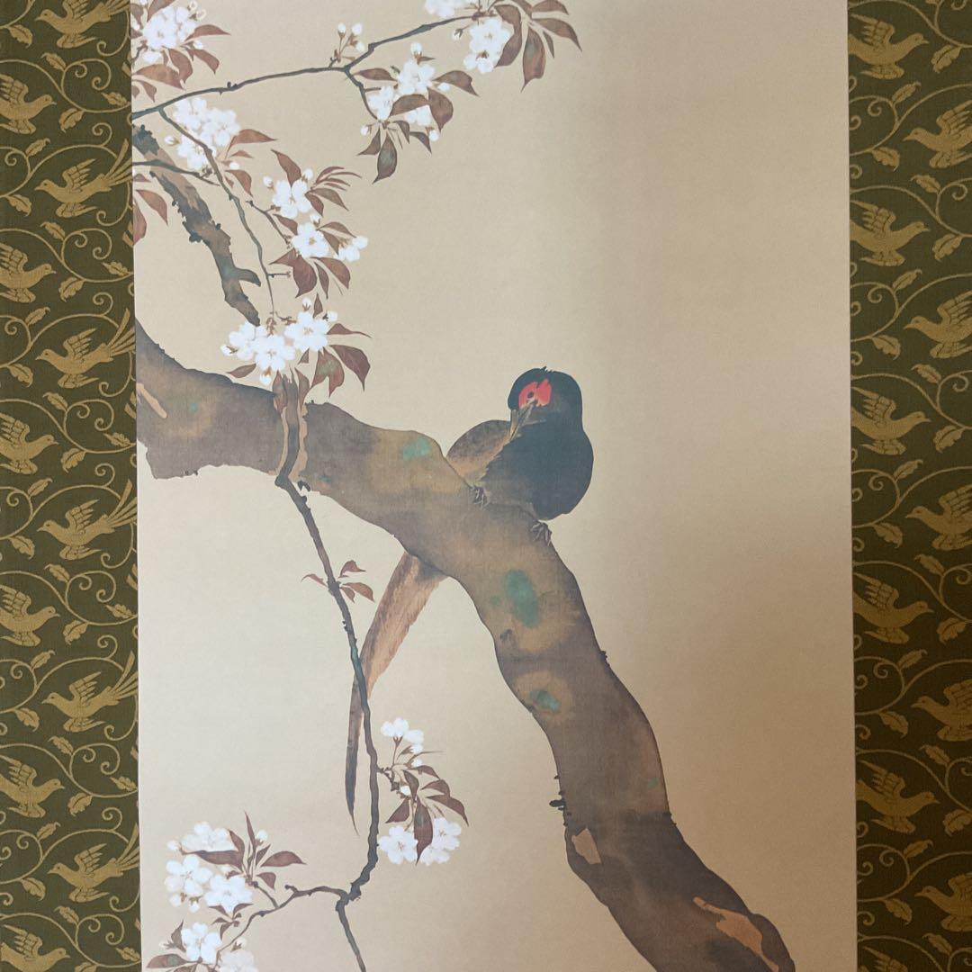酒井抱一筆 桜花雉子図 1260 / 1500部 複製画