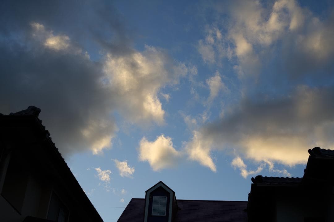 フィルムカメラ LEICA SUMMICRON-R 50mm F2 3CAM