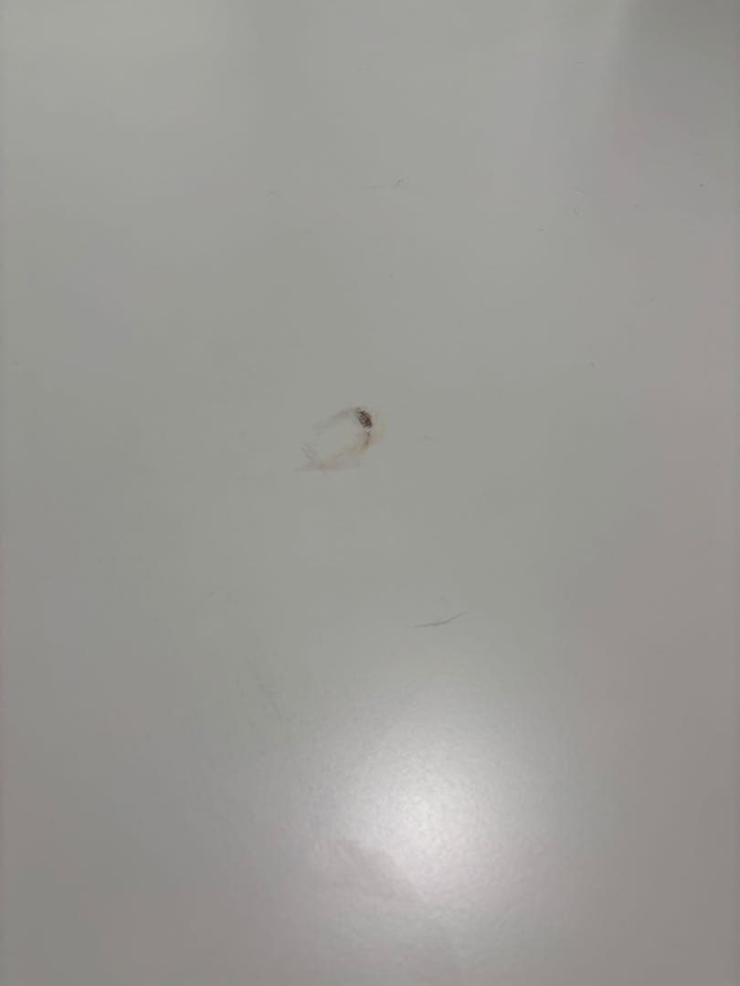 かつおぶし Fritz Hansen 楕円形ダイニングテーブル