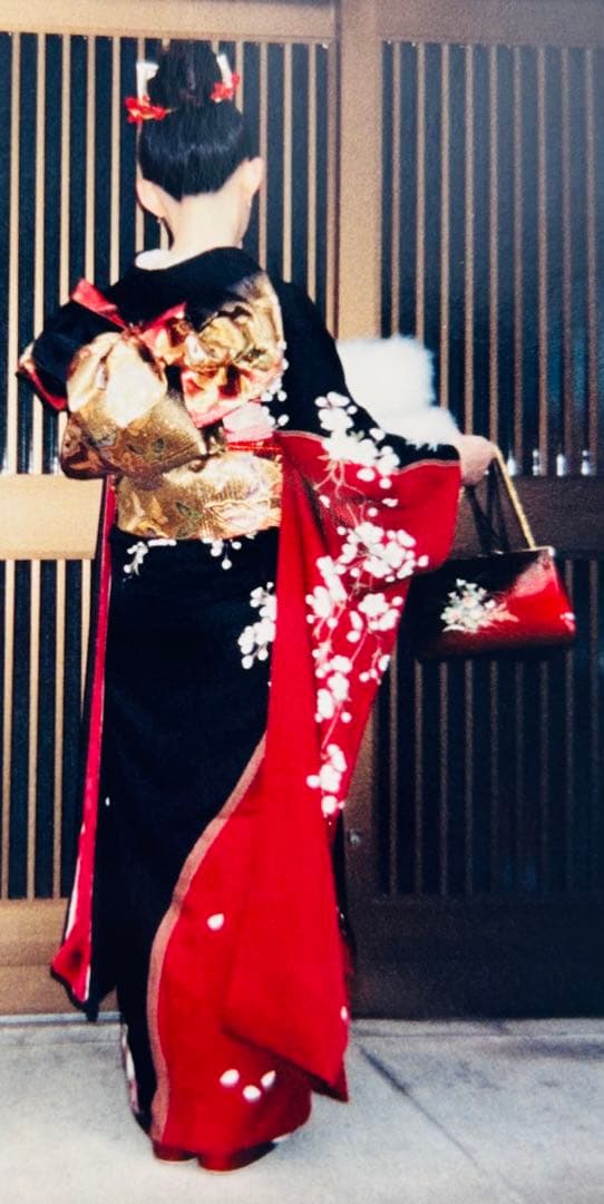 振袖 成人式1回使用のみ 200万円で購入 ブランド着物 フルセット 御所車 赤