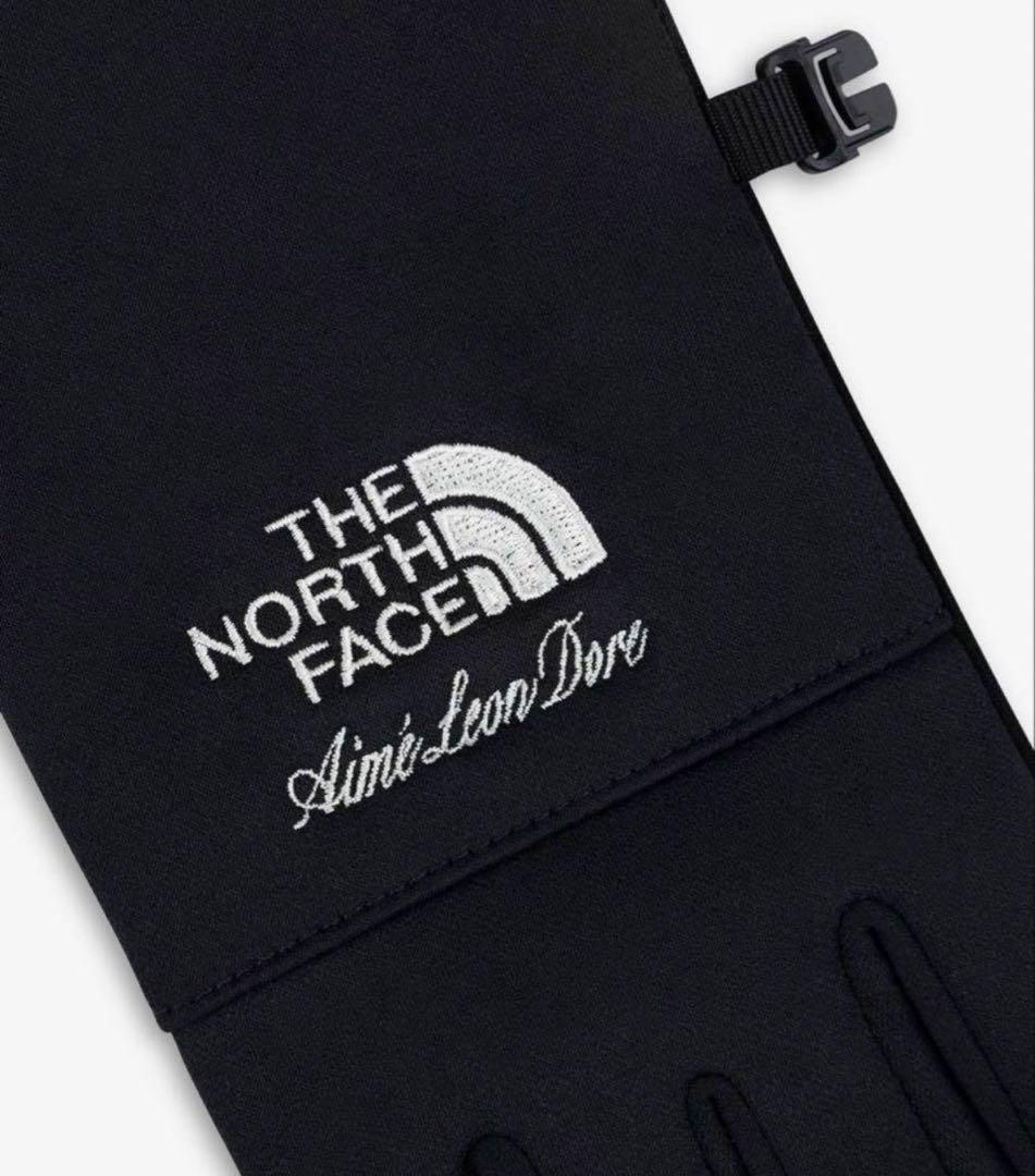小物 The North Face Aime Leon Dore Etip Glove