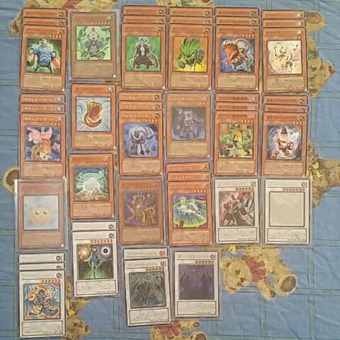 引退　ブラックローズドラゴンホログラフィック　収録パックノーマル字レアコンプ