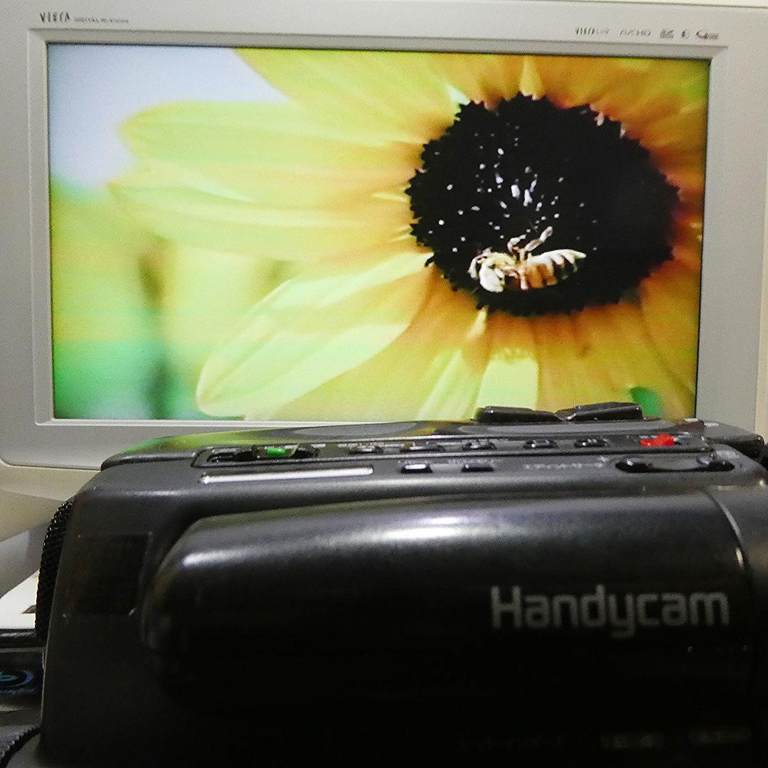 動作良好 Hi8ソニー CCD-TR55 8ミリビデオカメラ DVD化に最適