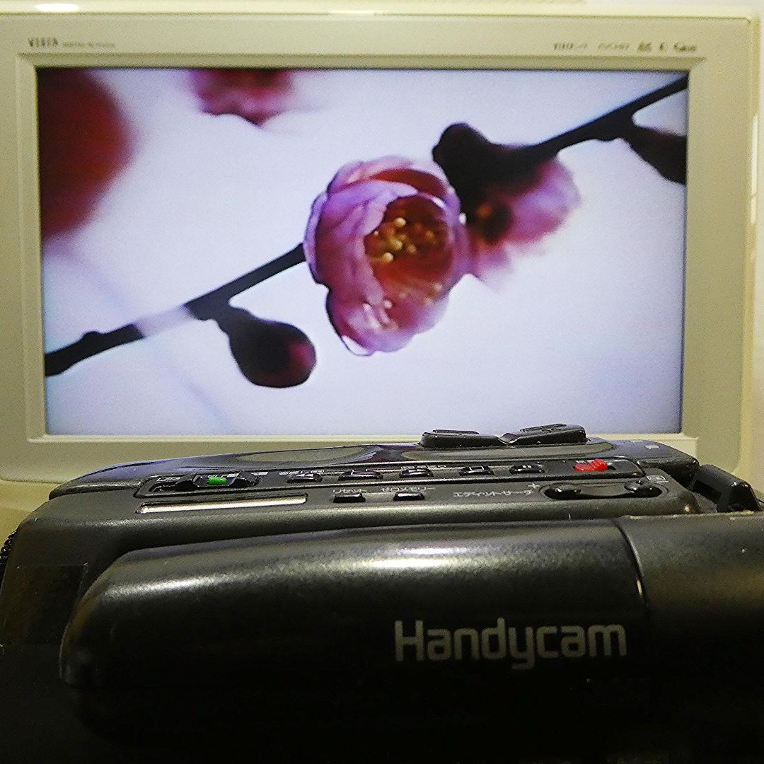 動作良好 Hi8ソニー CCD-TR55 8ミリビデオカメラ DVD化に最適