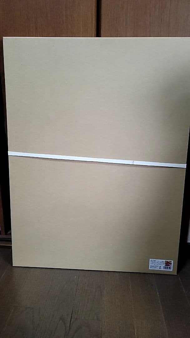 ピロ水 来海志乃羽 バレンタイン 直筆サイン入り複製原画