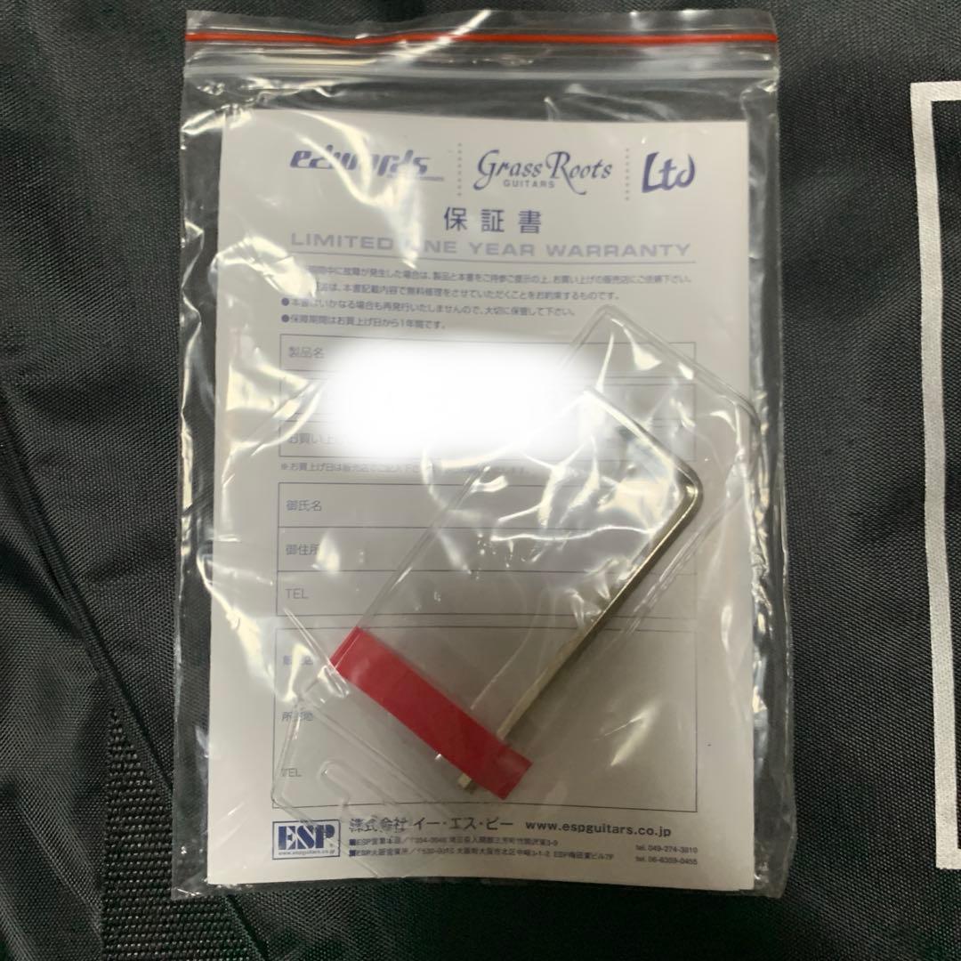 RANDOM STAR BanG Dream! 戸山香澄モデル エレキギター