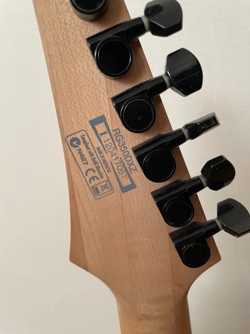 ⭐️14日まで限定で値下げ中⭐️ Ibanez RG350DXZ アイバニーズ　RG