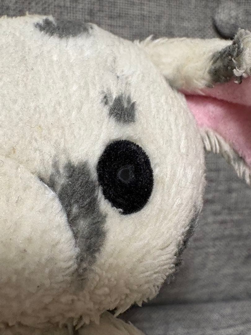 当時品　希少　シュガーバニーズ　ぶちうさ