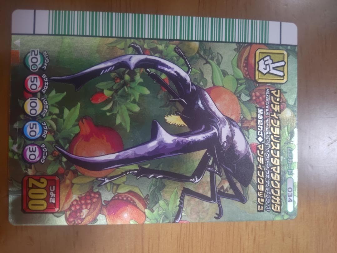 ムシキング　マンディブラリスフタマタクワガタ　五周年